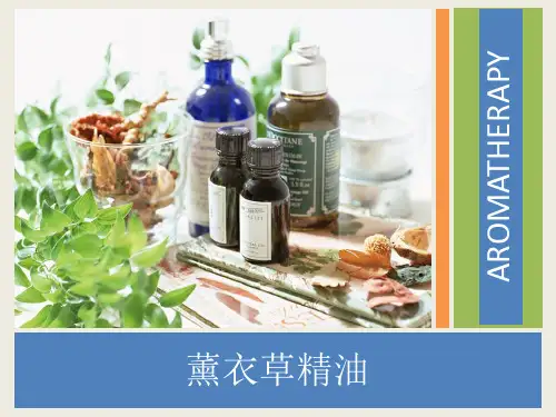 精油基础知识PPT课件