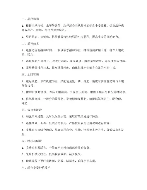 小麦高产种植技术管理