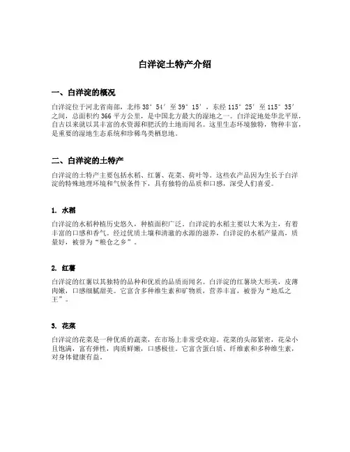 白洋淀土特产介绍