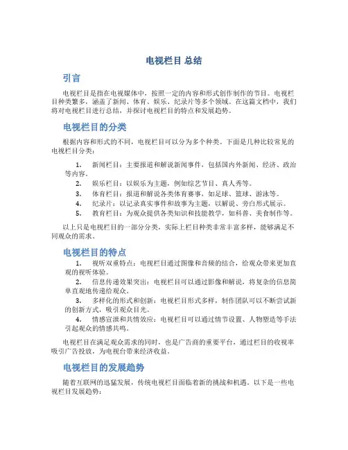 电视栏目 总结