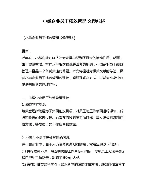 小微企业员工绩效管理 文献综述