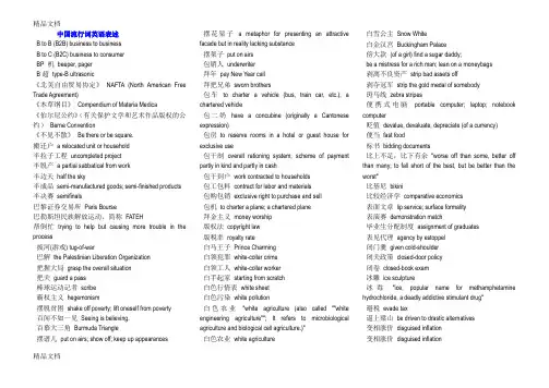 最新中国流行词英语表述
