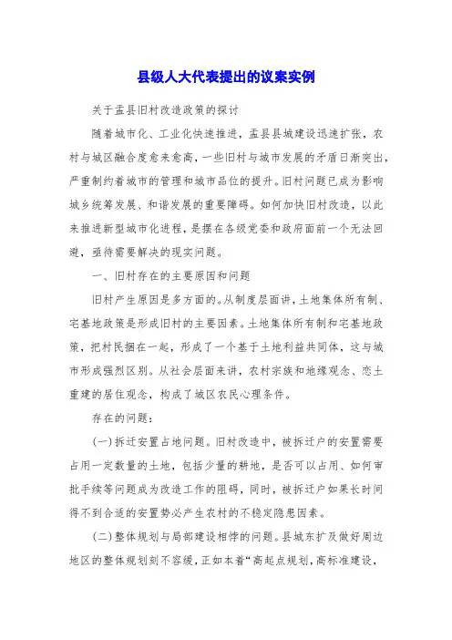 县级人大代表提出的议案实例