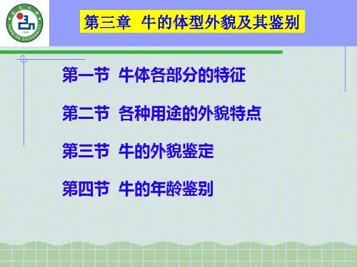 牛生产学培训课件(PPT 50页)