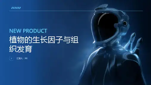 植物的生长因子与组织发育