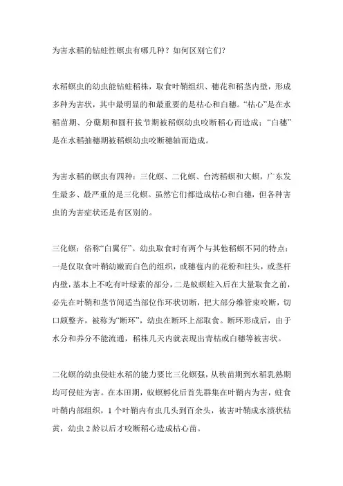为害水稻的钻蛀性螟虫有哪几种及识别