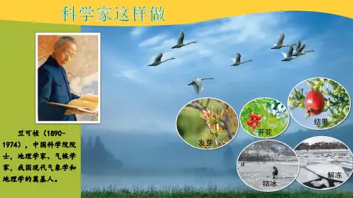 新教科版三年级科学上册全册教学课件PPT
