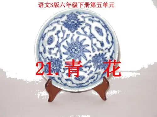 21、S版六年级版《青花》课件PPT