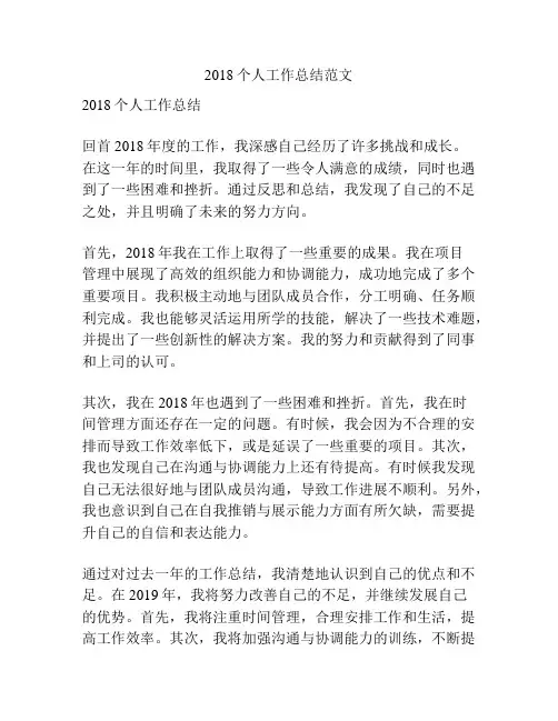 2018个人工作总结范文