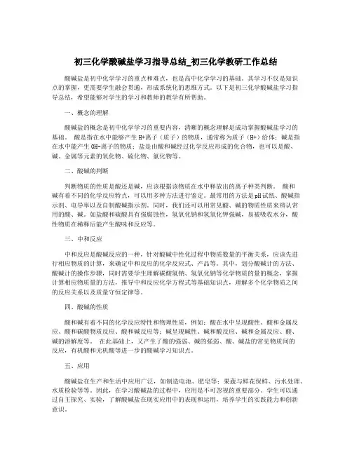 初三化学酸碱盐学习指导总结_初三化学教研工作总结