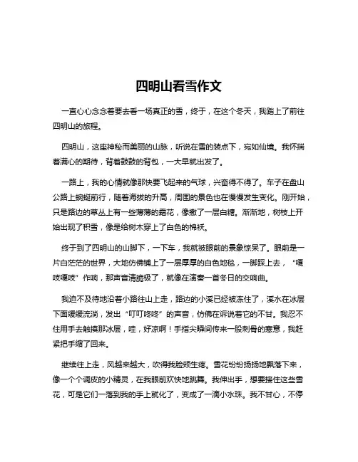 四明山看雪作文