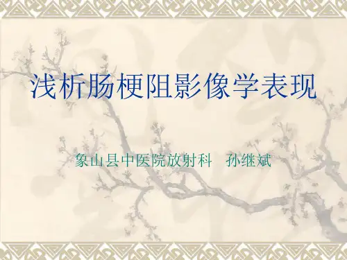 肠梗阻的影像学诊断