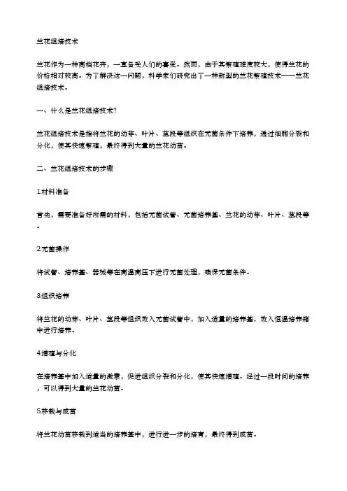 兰花组培技术