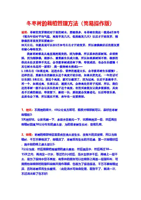 枣树的栽植方法简易操纵版