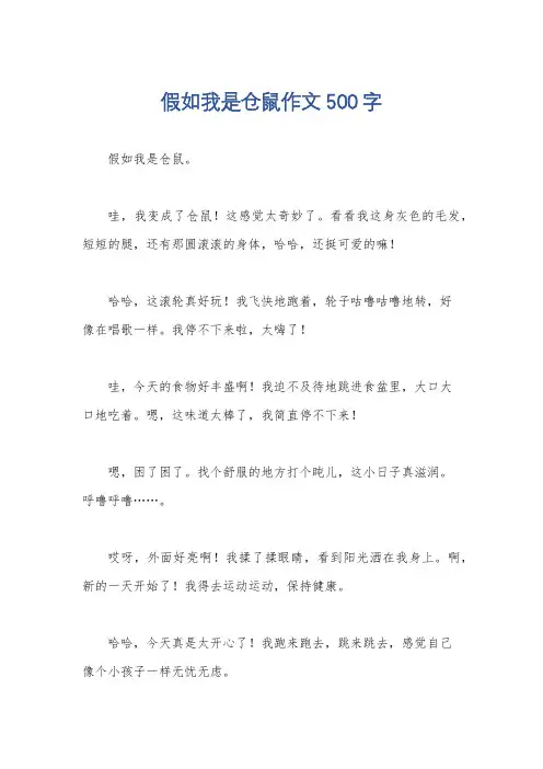假如我是仓鼠作文500字