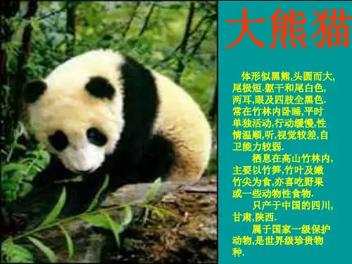 珍稀动物幼儿园课件