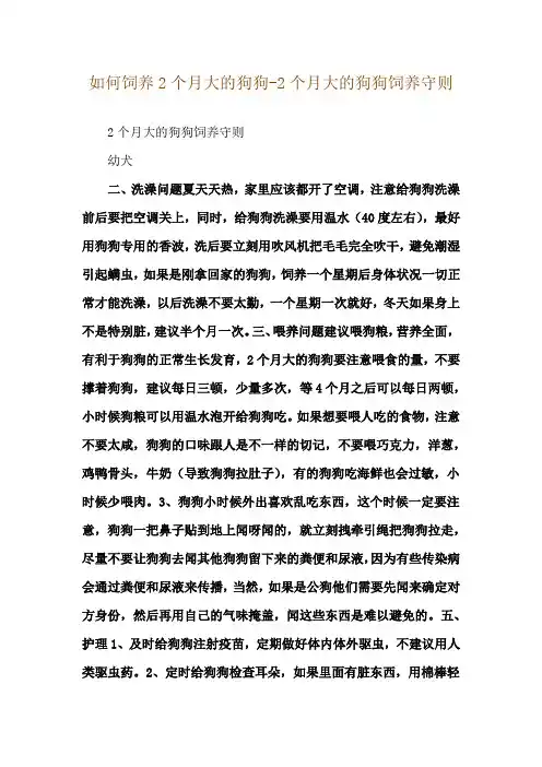 如何饲养2个月大的狗狗-2个月大的狗狗饲养守则
