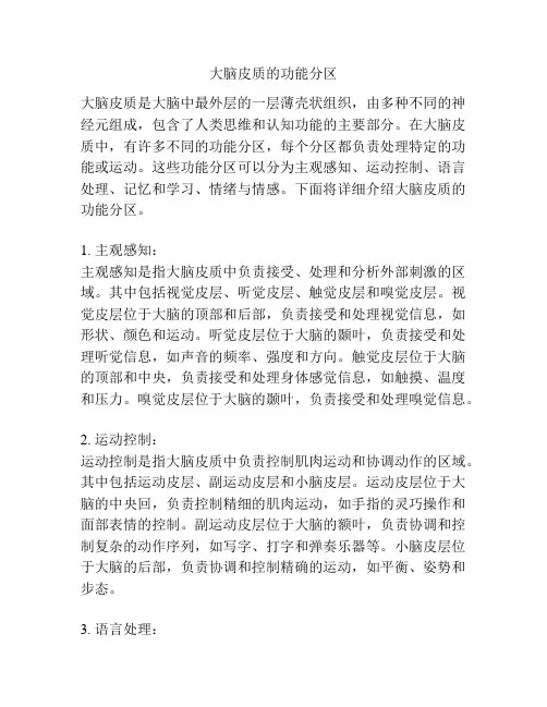 大脑皮质的功能分区