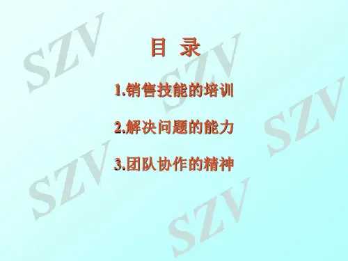 销售技能培训(PPT)