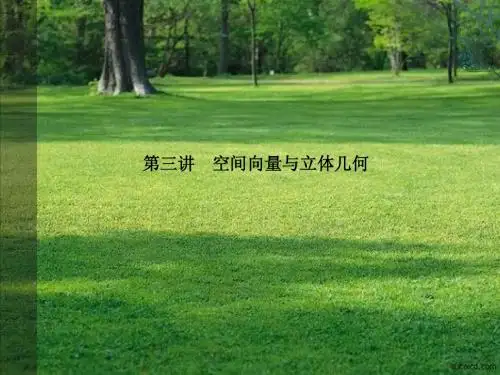 2011届高考数学二轮复习考点突破课件：第13讲 空间向量与立体几何