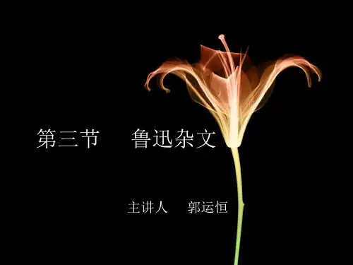 鲁迅第三讲杂文