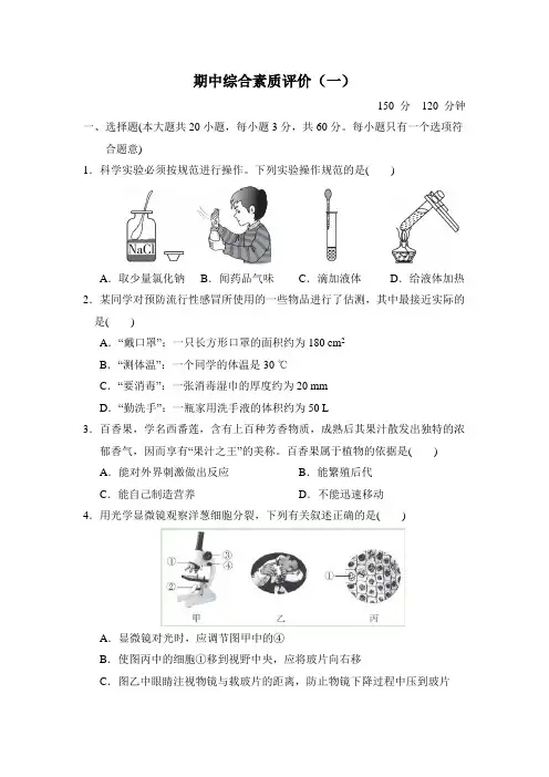 期中综合素质评价(一)(试题)2022-2023学年浙教版科学七年级上册