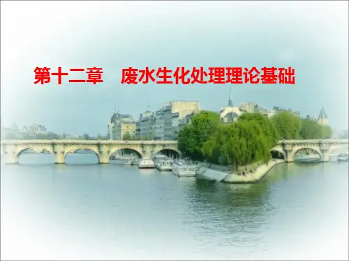第十二章.废水生化处理