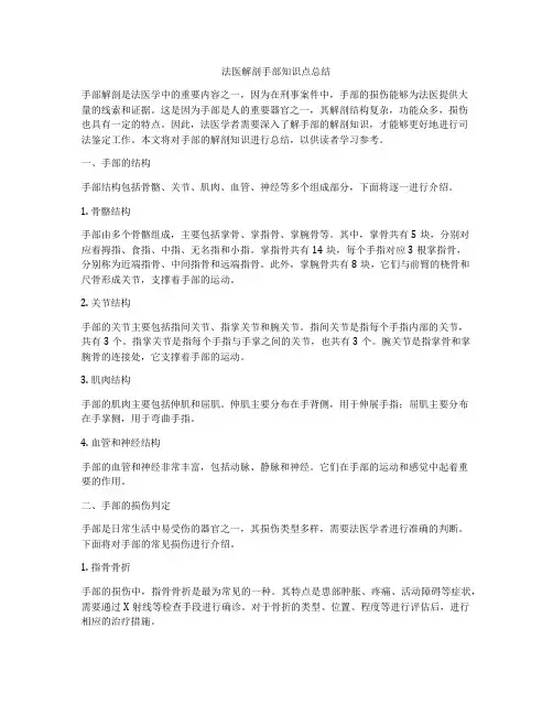 法医解剖手部知识点总结