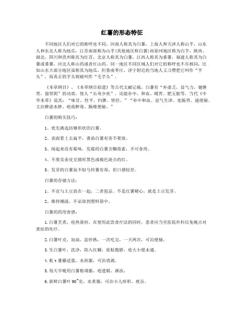 红薯的形态特征