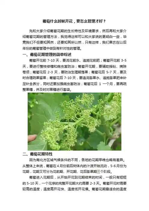 葡萄什么时候开花，要怎么管理才好？