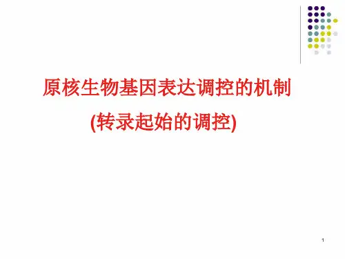 5-2 原核生物基因表达调控的机制