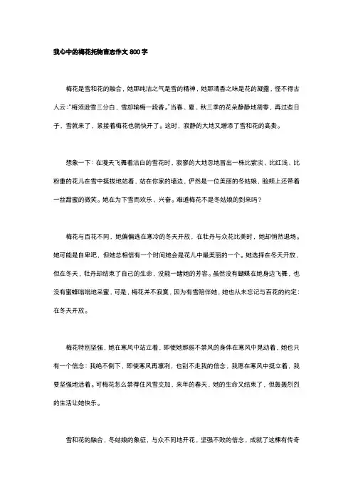 我心中的梅花托物言志作文800字