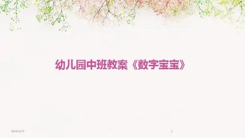 2024年度幼儿园中班教案《数字宝宝》