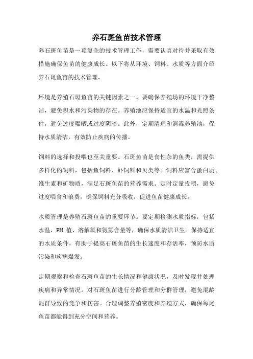 养石斑鱼苗技术管理