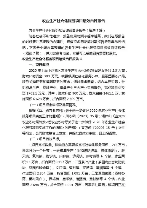 农业生产社会化服务项目绩效自评报告（精选7篇）