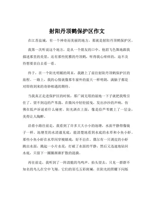 射阳丹顶鹤保护区作文