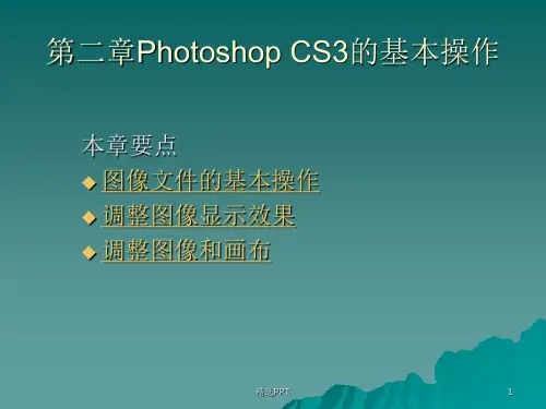 PS知识第二章PhotoshopCS3的基本操作