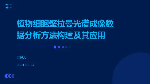 植物细胞壁拉曼光谱成像数据分析方法构建及其应用