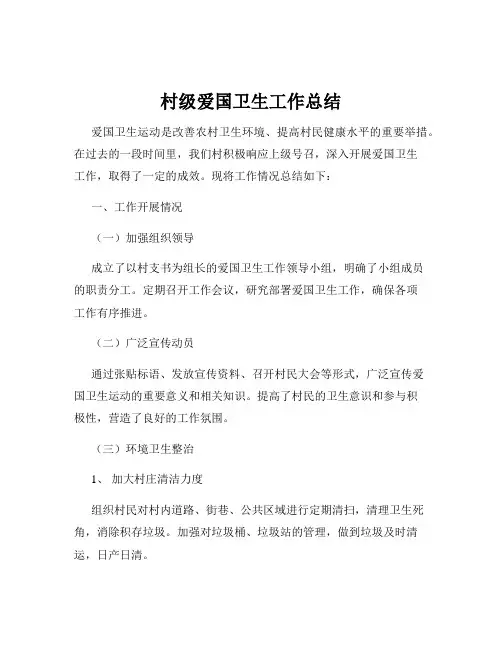 村级爱国卫生工作总结