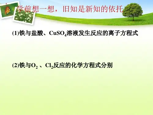 铁及其铁的化合物.ppt