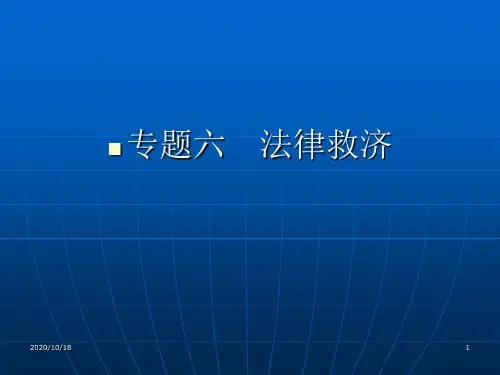 专题六 法律救济PPT优选课件