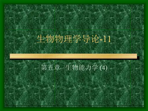 生物物理学导论-11 PPT资料共45页