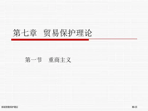 新版贸易保护理论
