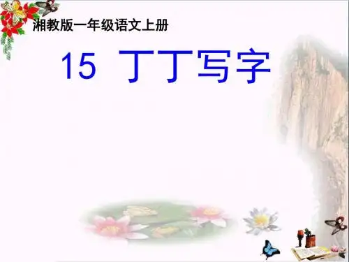 一年级语文上册丁丁写字 PPT精品课件1湘教版