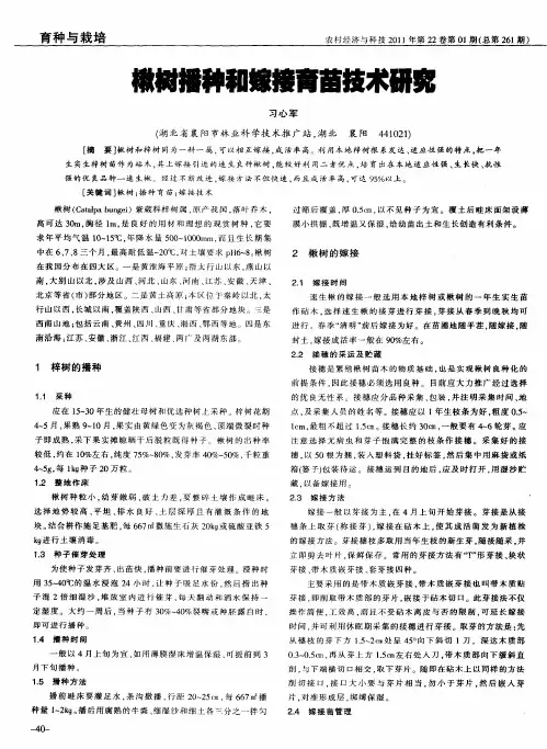楸树播种和嫁接育苗技术研究