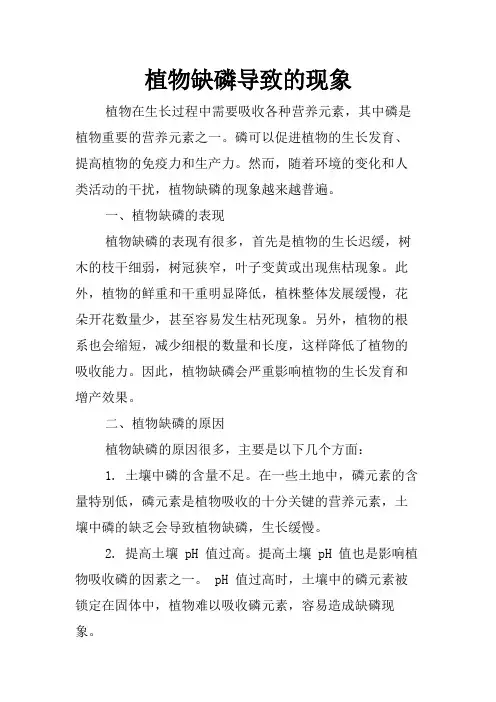 植物缺磷导致的现象