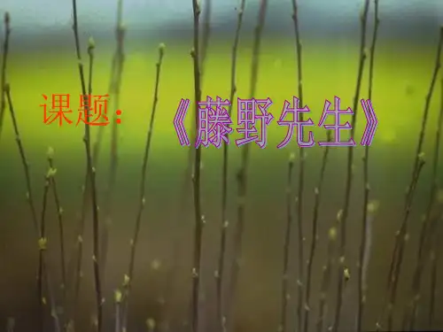 语文九年级上北京课改版《藤野先生》说课课件