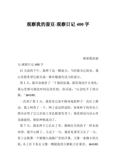 观察我的蚕豆-观察日记400字