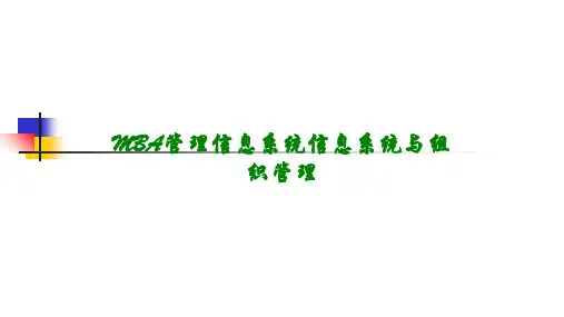 MBA管理信息系统信息系统与组织管理讲义