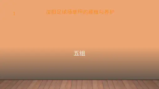 足球场草坪建植与养护PPT